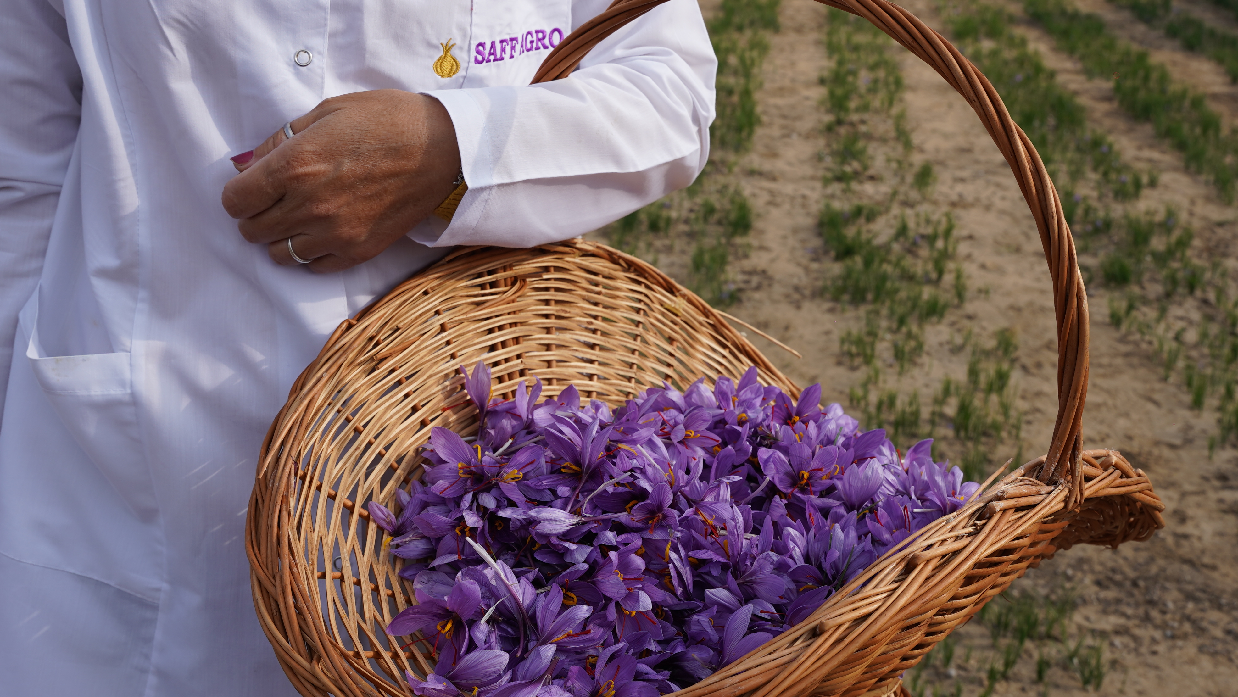 Harvest