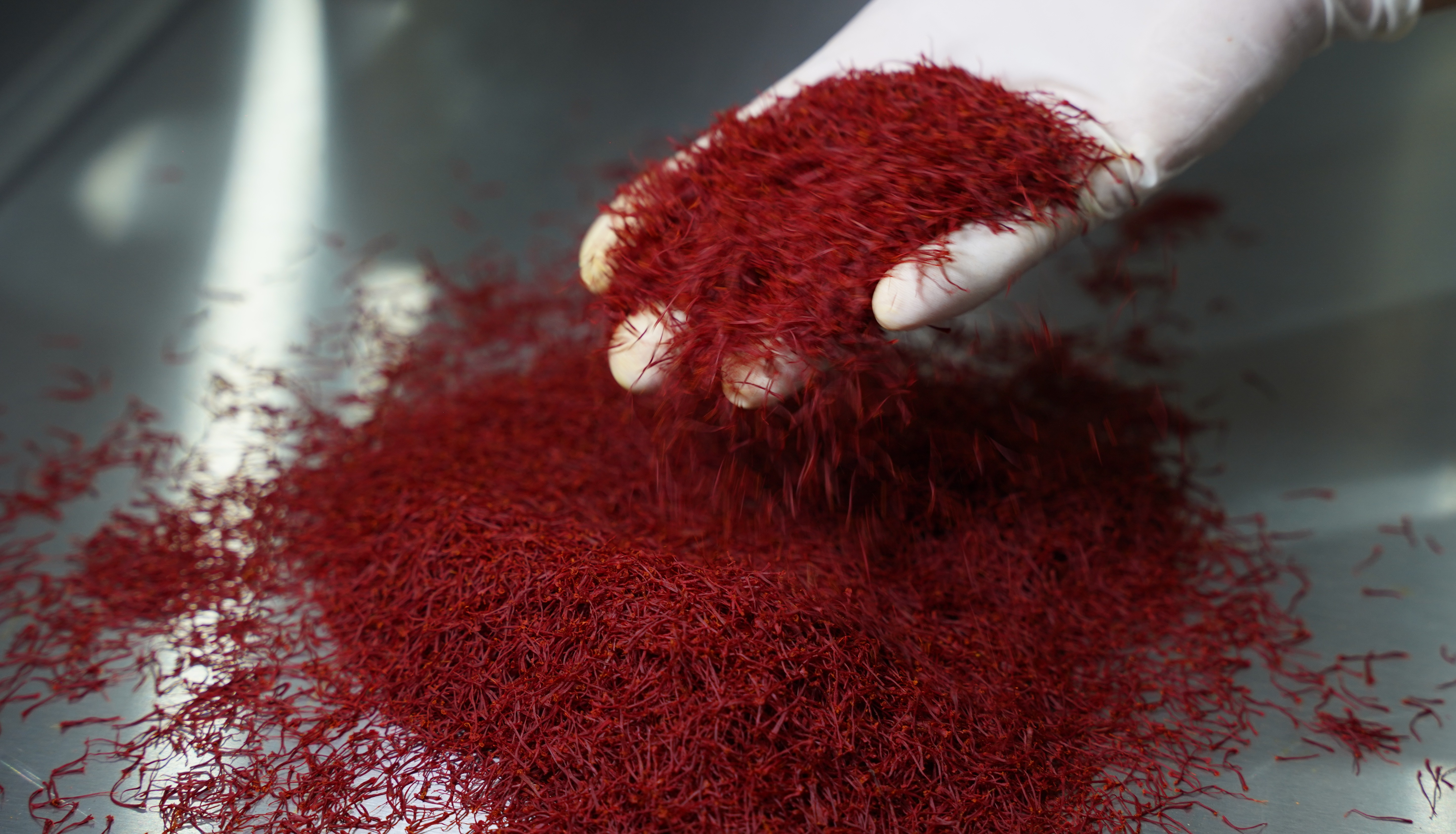 Bilgah Premium Dried Saffron